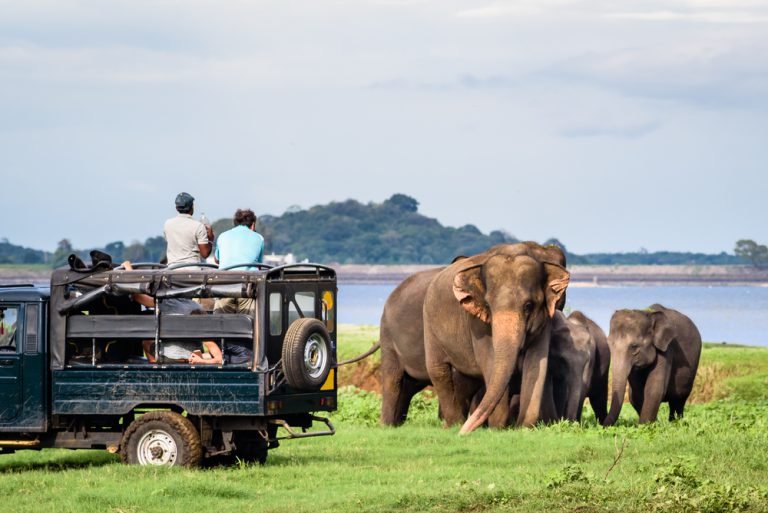 Ceylon Biodiversity Discovery & Nature Conservation Journey