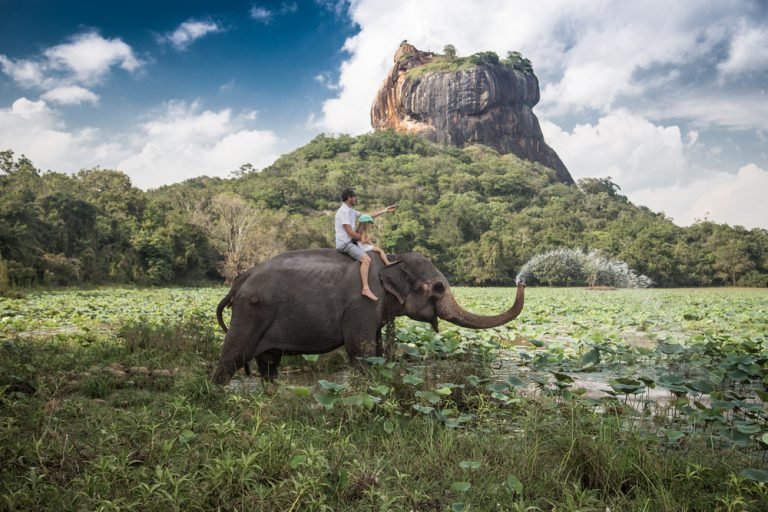 Ceylon Scenic Discovery Journey